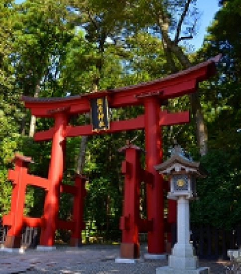 新潟屈指のパワースポット「彌彦神社」