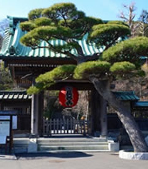 美しい庭園と眺望のすばらしさに心なごむ「長谷寺」