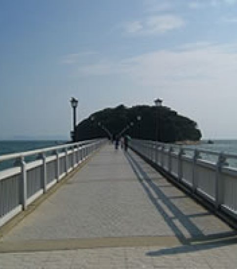 島全体が緑と静寂に包まれた神域～竹島「八百富神社」